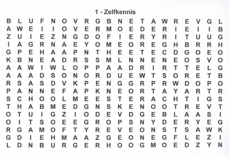 Grootletter Woordzoeker - Afbeelding 2