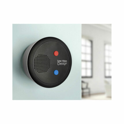 Sprekende Thermostaat