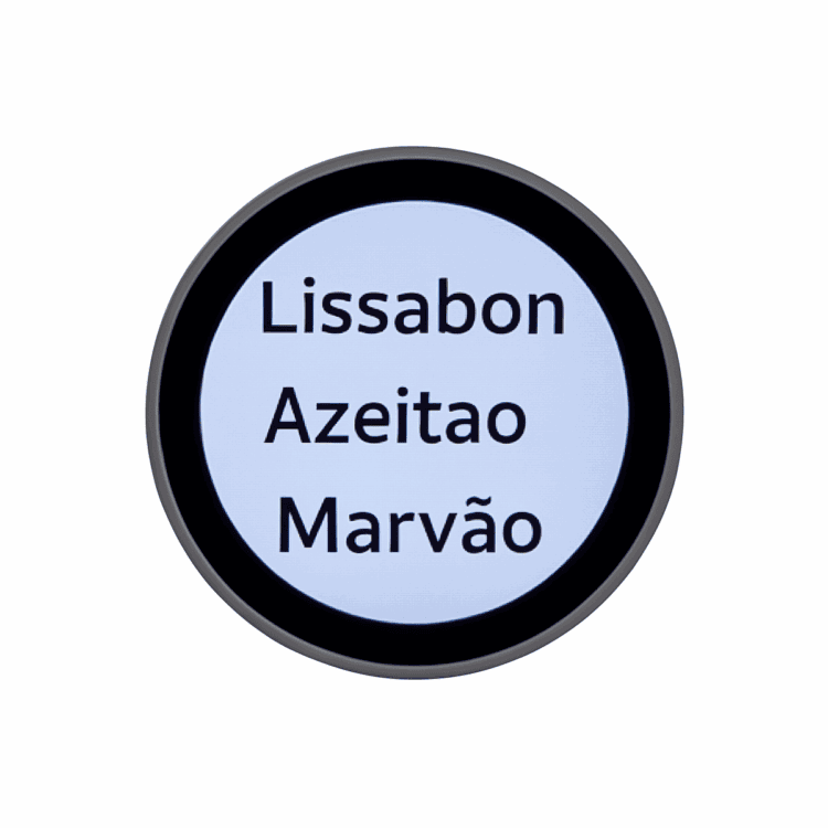 LookyRound 2.8 elektronisch vergrootglas